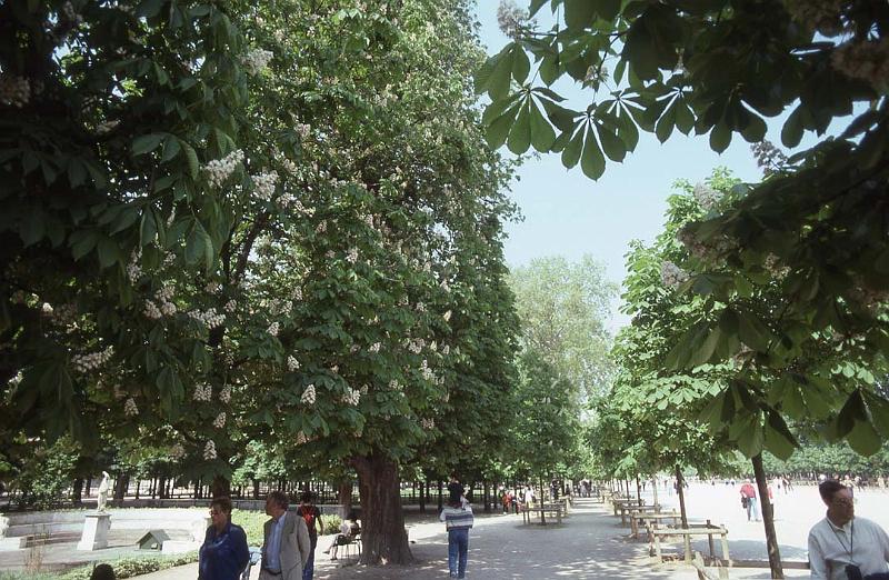 France 99 Paris Tuileries.jpg